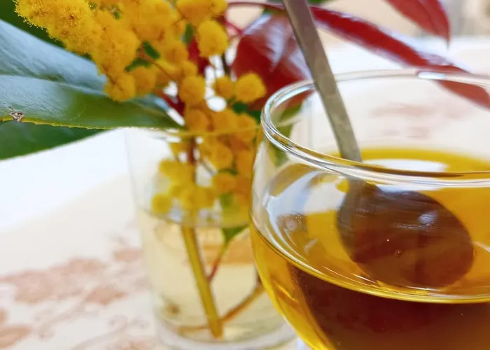 La Fetuseria Bistrot & Frühstückspension