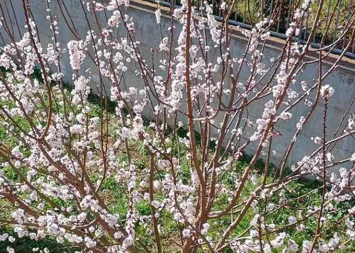 La Fetuseria Bistrot & Senigallia